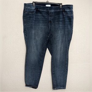 Lane Bryant Jegging Size 24